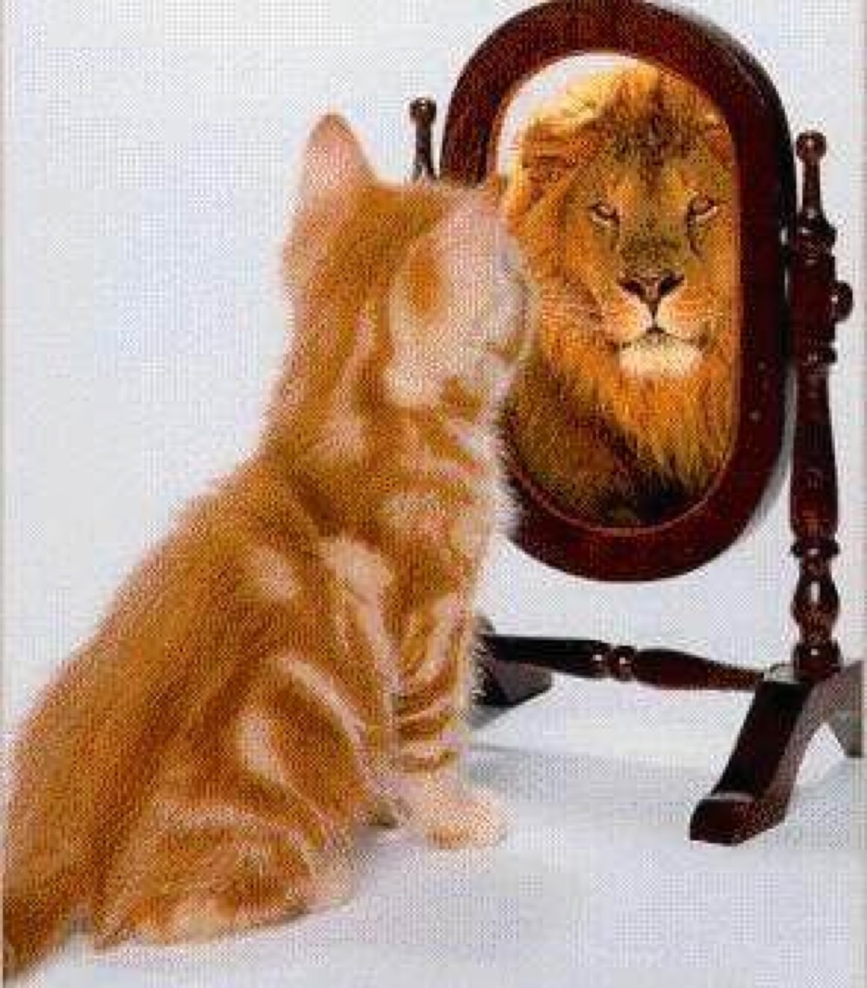 Have High Confidence in Yourself