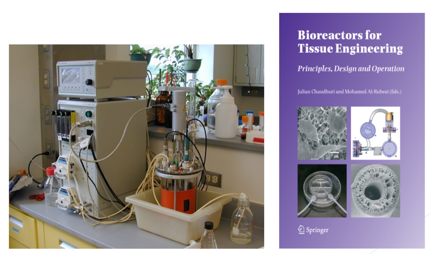 The Bioreactor: For the study and optimization of medical protein production, and my book on its importance in tissue engineering