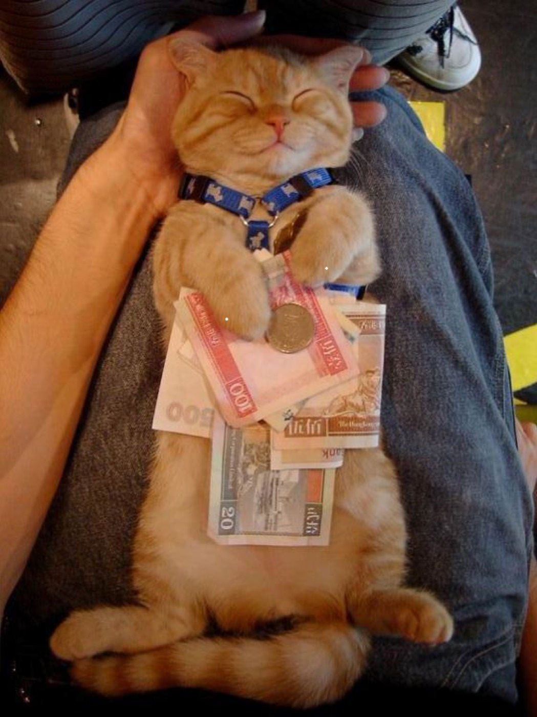 Money Isn't Everything