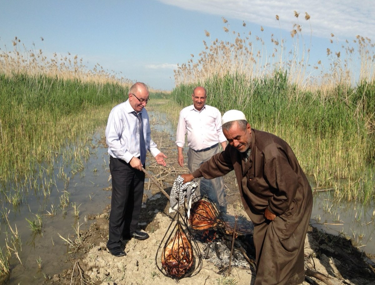Masgouf fish in the heart of the marshes